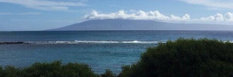 kentucky_kitten OnlyFans - Free Access to 32 Videos & 49 Photos Onlyfans Free Access