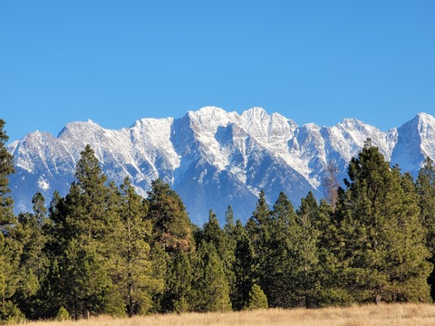 kevinkismet OnlyFans - Free Access to 32 Videos & 49 Photos Onlyfans Free Access