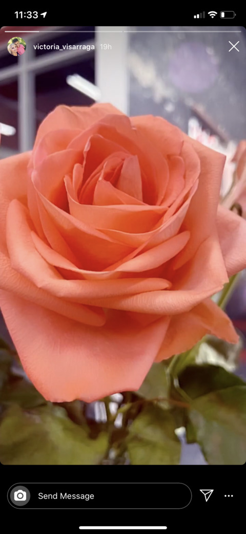 kienichole OnlyFans - Free Access to 32 Videos & 49 Photos Onlyfans Free Access