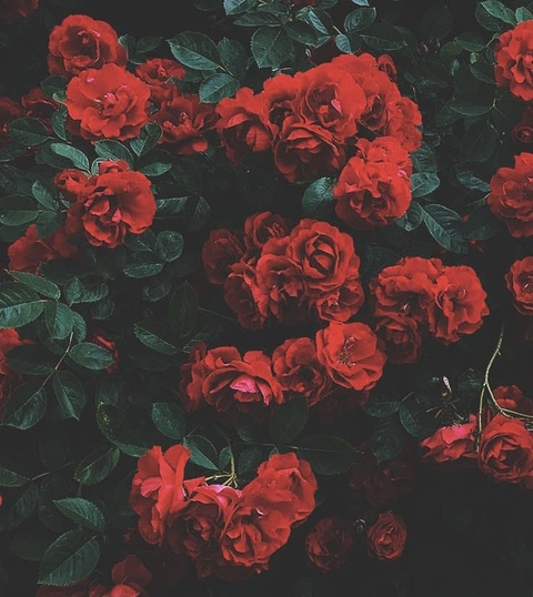 kiiirbz OnlyFans - Free Access to 32 Videos & 104 Photos Onlyfans Free Access