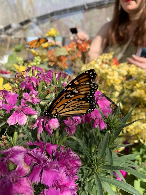 killerkylie OnlyFans - Free Access to 32 Videos & 49 Photos Onlyfans Free Access