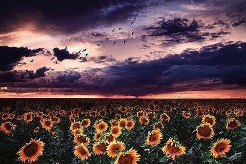 killerqueenrfree OnlyFans - Free Access to 32 Videos & 49 Photos Onlyfans Free Access