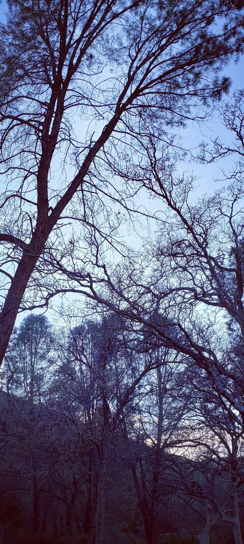 kineticpotential96 OnlyFans - Free Access to 32 Videos & 54 Photos Onlyfans Free Access