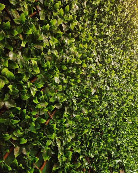 king.of.cozy OnlyFans - Free Access to 32 Videos & 49 Photos Onlyfans Free Access