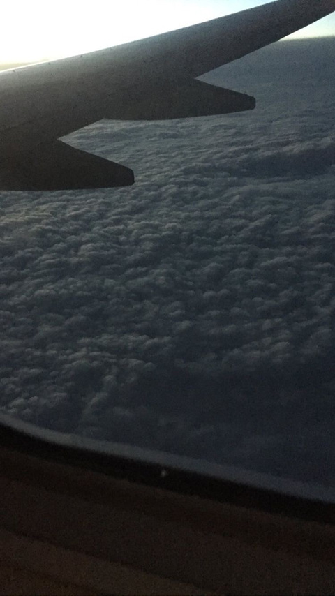 kingjorel OnlyFans - Free Access to 32 Videos & 49 Photos Onlyfans Free Access