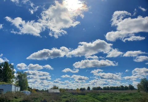 kinky_cougar OnlyFans - Free Access to 32 Videos & 75 Photos Onlyfans Free Access