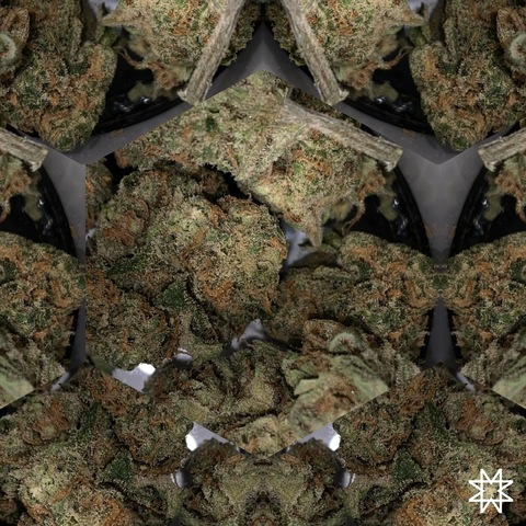 kinkybigbaby OnlyFans - Free Access to 32 Videos & 111 Photos Onlyfans Free Access