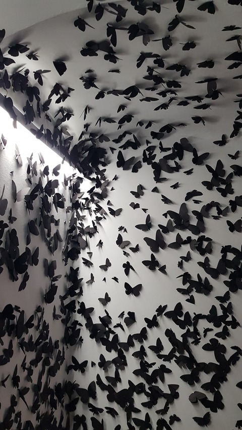 kittyroma99 OnlyFans - Free Access to 32 Videos & 49 Photos Onlyfans Free Access