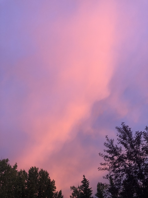 kittyy.dee OnlyFans - Free Access to 32 Videos & 49 Photos Onlyfans Free Access