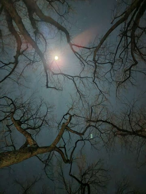 kiwi131 OnlyFans - Free Access to 32 Videos & 49 Photos Onlyfans Free Access