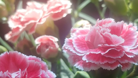 kmmmartinez OnlyFans - Free Access to 32 Videos & 49 Photos Onlyfans Free Access