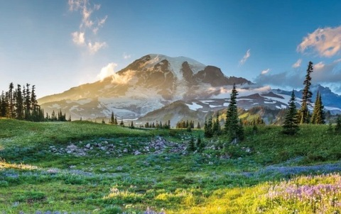 knarleydacto OnlyFans - Free Access to 32 Videos & 49 Photos Onlyfans Free Access