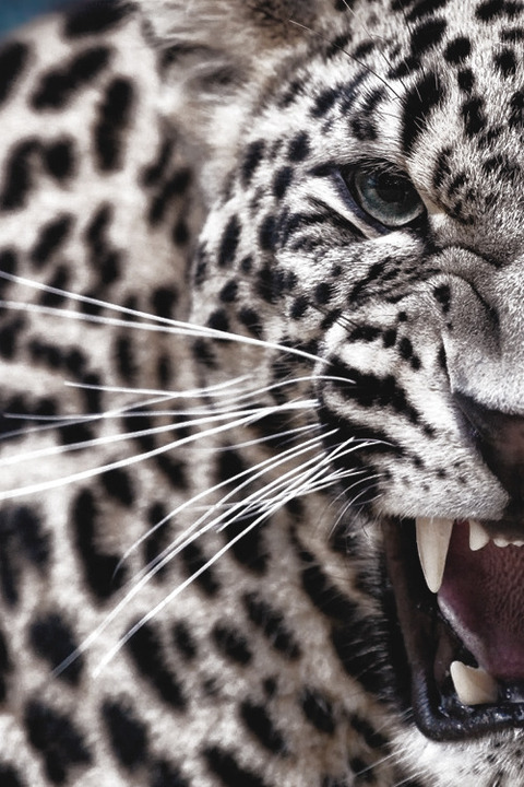 knicola OnlyFans - Free Access to 32 Videos & 49 Photos Onlyfans Free Access