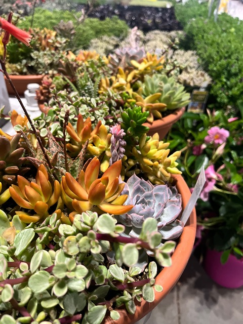 kristineekris OnlyFans - Free Access to 36 Videos & 49 Photos Onlyfans Free Access