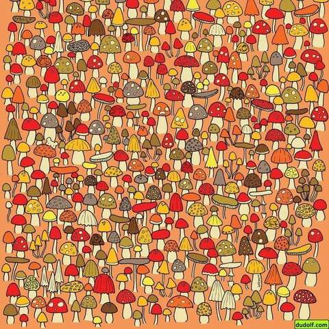 kryheartless OnlyFans - Free Access to 32 Videos & 81 Photos Onlyfans Free Access