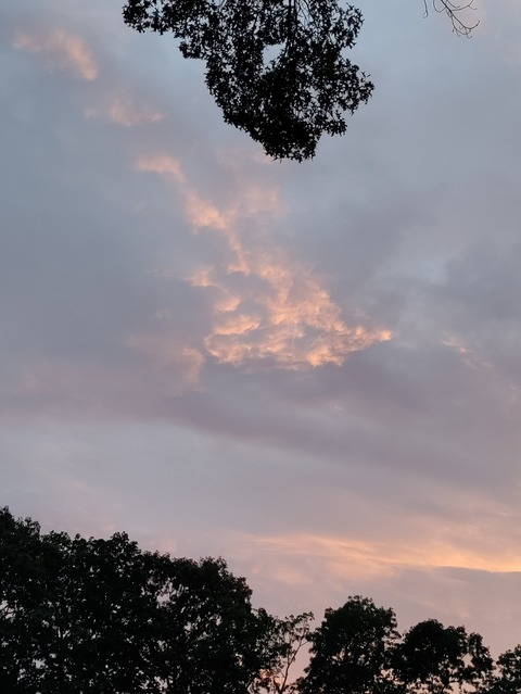 kspage OnlyFans - Free Access to 32 Videos & 49 Photos Onlyfans Free Access