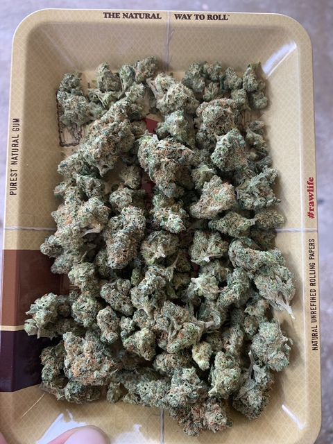 kt1123 OnlyFans - Free Access to 32 Videos & 49 Photos Onlyfans Free Access