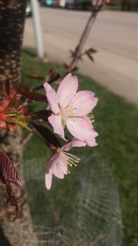 kuybb OnlyFans - Free Access to 32 Videos & 49 Photos Onlyfans Free Access