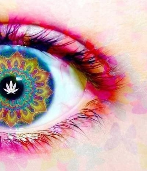 kylababii OnlyFans - Free Access to 32 Videos & 705 Photos Onlyfans Free Access