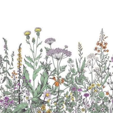 l4n4love OnlyFans - Free Access to 32 Videos & 49 Photos Onlyfans Free Access