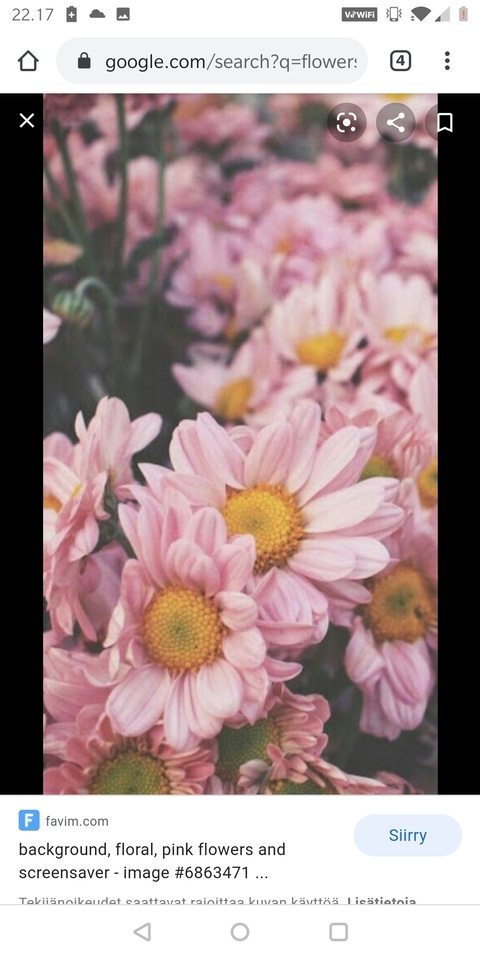 laceprincess00 OnlyFans - Free Access to 32 Videos & 49 Photos Onlyfans Free Access