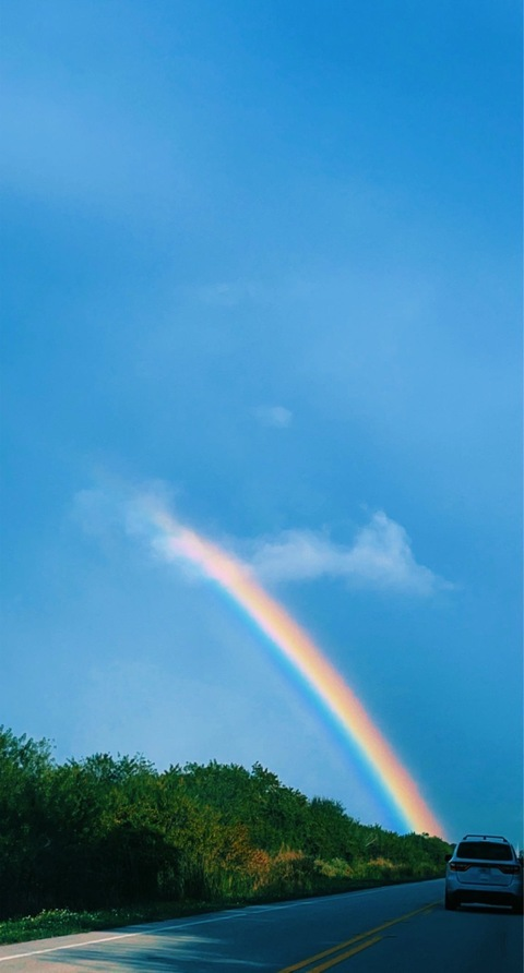 lalathehomie OnlyFans - Free Access to 32 Videos & 49 Photos Onlyfans Free Access