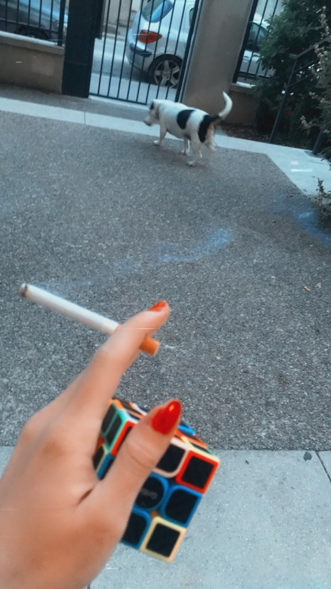 lamamsterdam OnlyFans - Free Access to 32 Videos & 49 Photos Onlyfans Free Access