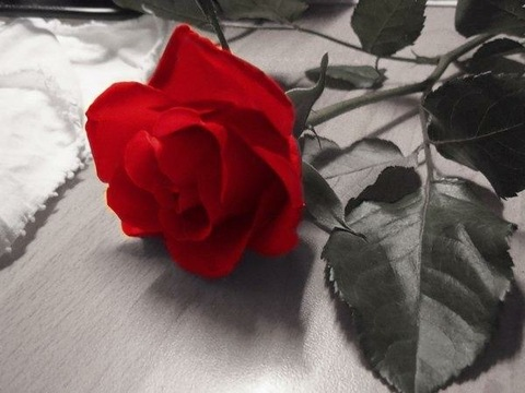 laurie2525 OnlyFans - Free Access to 32 Videos & 49 Photos Onlyfans Free Access