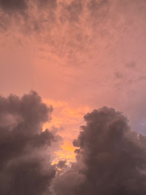 lauzauwu OnlyFans - Free Access to 32 Videos & 49 Photos Onlyfans Free Access