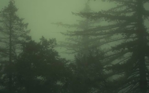 lavasuga OnlyFans - Free Access to 32 Videos & 49 Photos Onlyfans Free Access