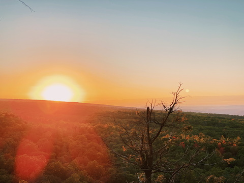 leanbeann OnlyFans - Free Access to 32 Videos & 49 Photos Onlyfans Free Access