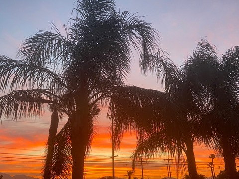 leathernlace88 OnlyFans - Free Access to 32 Videos & 93 Photos Onlyfans Free Access