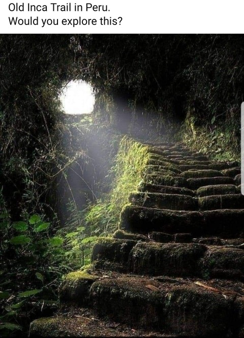 lennoxjade OnlyFans - Free Access to 32 Videos & 49 Photos Onlyfans Free Access