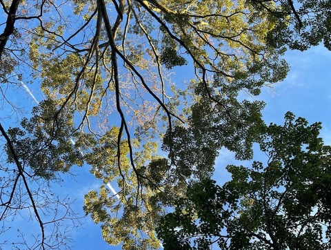 lexie2226 OnlyFans - Free Access to 32 Videos & 49 Photos Onlyfans Free Access