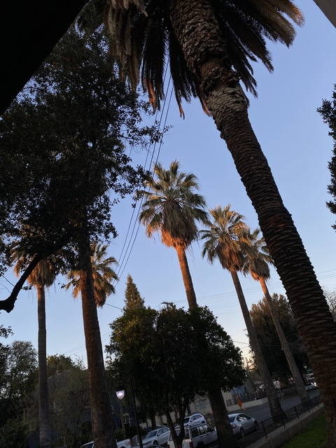 lexig20 OnlyFans - Free Access to 32 Videos & 49 Photos Onlyfans Free Access