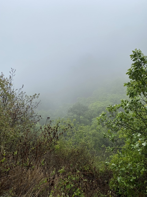 lifewvic OnlyFans - Free Access to 32 Videos & 49 Photos Onlyfans Free Access