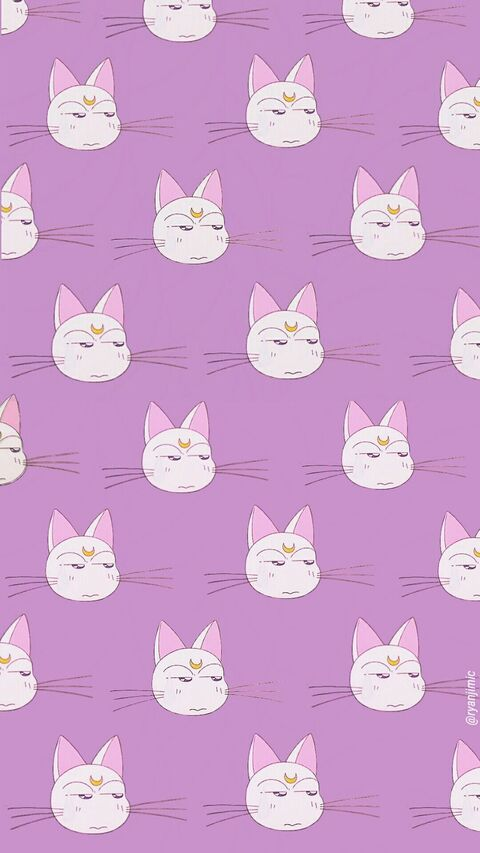 lilbeet210 OnlyFans - Free Access to 32 Videos & 49 Photos Onlyfans Free Access