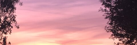 lilsavgem OnlyFans - Free Access to 32 Videos & 49 Photos Onlyfans Free Access