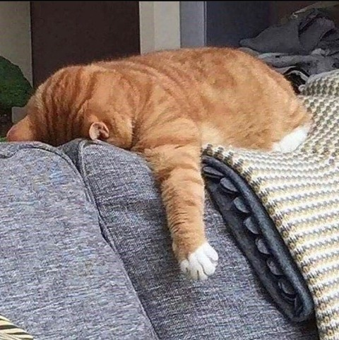 lilymarie123 OnlyFans - Free Access to 32 Videos & 49 Photos Onlyfans Free Access