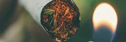 linzo OnlyFans - Free Access to 32 Videos & 49 Photos Onlyfans Free Access