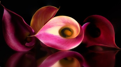 linzyloo OnlyFans - Free Access to 32 Videos & 49 Photos Onlyfans Free Access