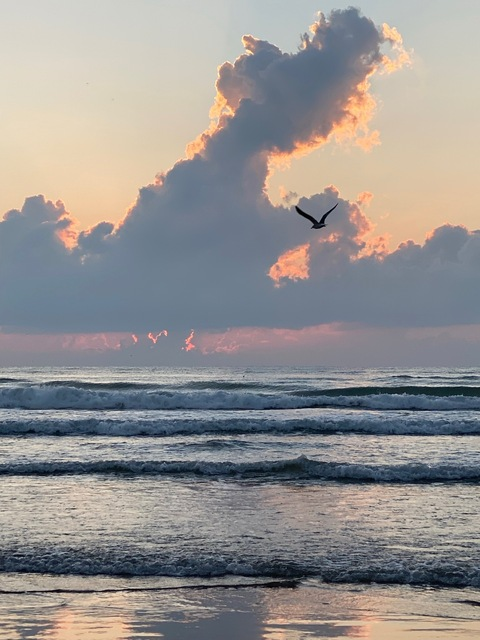 lis.carrizales OnlyFans - Free Access to 32 Videos & 49 Photos Onlyfans Free Access