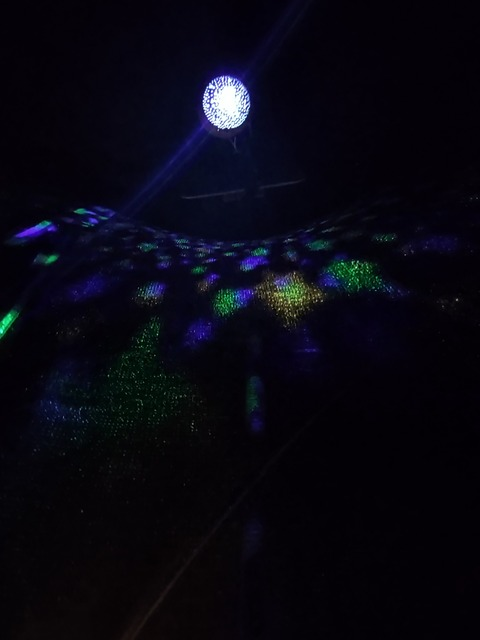 lissalouwho OnlyFans - Free Access to 32 Videos & 57 Photos Onlyfans Free Access