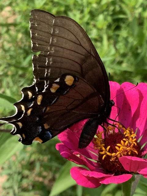 little.lady20 OnlyFans - Free Access to 32 Videos & 51 Photos Onlyfans Free Access