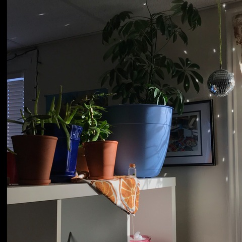 littlestink OnlyFans - Free Access to 32 Videos & 58 Photos Onlyfans Free Access