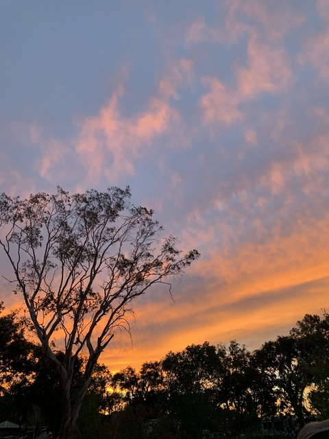 lizzybaby444 OnlyFans - Free Access to 32 Videos & 49 Photos Onlyfans Free Access