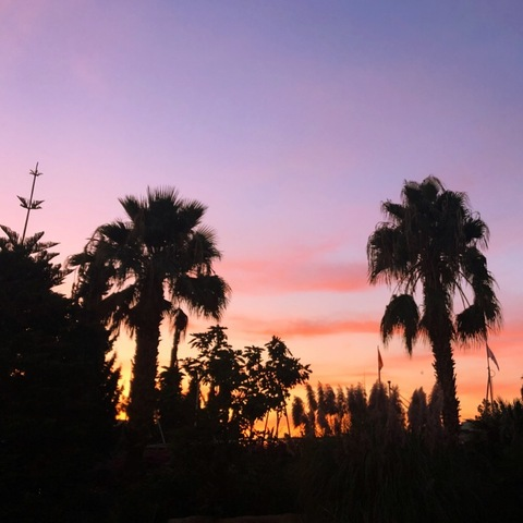 lmarie OnlyFans - Free Access to 32 Videos & 49 Photos Onlyfans Free Access