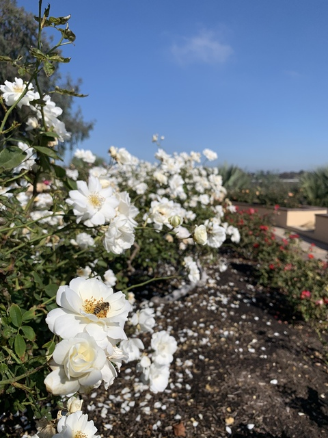 louisthegreat OnlyFans - Free Access to 32 Videos & 49 Photos Onlyfans Free Access