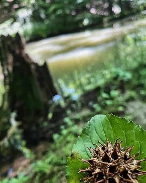 lovee0143 OnlyFans - Free Access to 32 Videos & 49 Photos Onlyfans Free Access