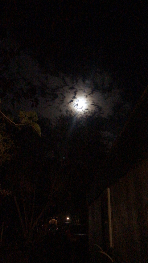 luis_rascon1000 OnlyFans - Free Access to 32 Videos & 49 Photos Onlyfans Free Access